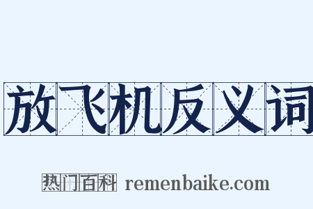 放飞机反义词是什么意思的图片